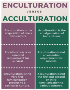 différence entre acculturation et enculturation