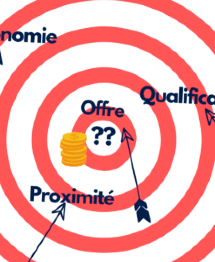 250 millions d’euros pour l’illectronisme : quelle stratégie ?