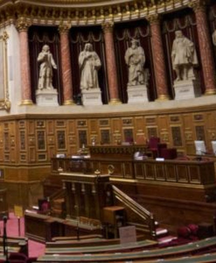 L’hémicycle du Sénat https://commons.wikimedia.org/wiki/File:L%27h%C3%A9micycle_du_S%C3%A9nat_fran%C3%A7ais_en_septembre_2009.jpg